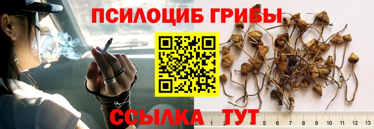 Псилоцибиновые грибы ЛСД Ржев
